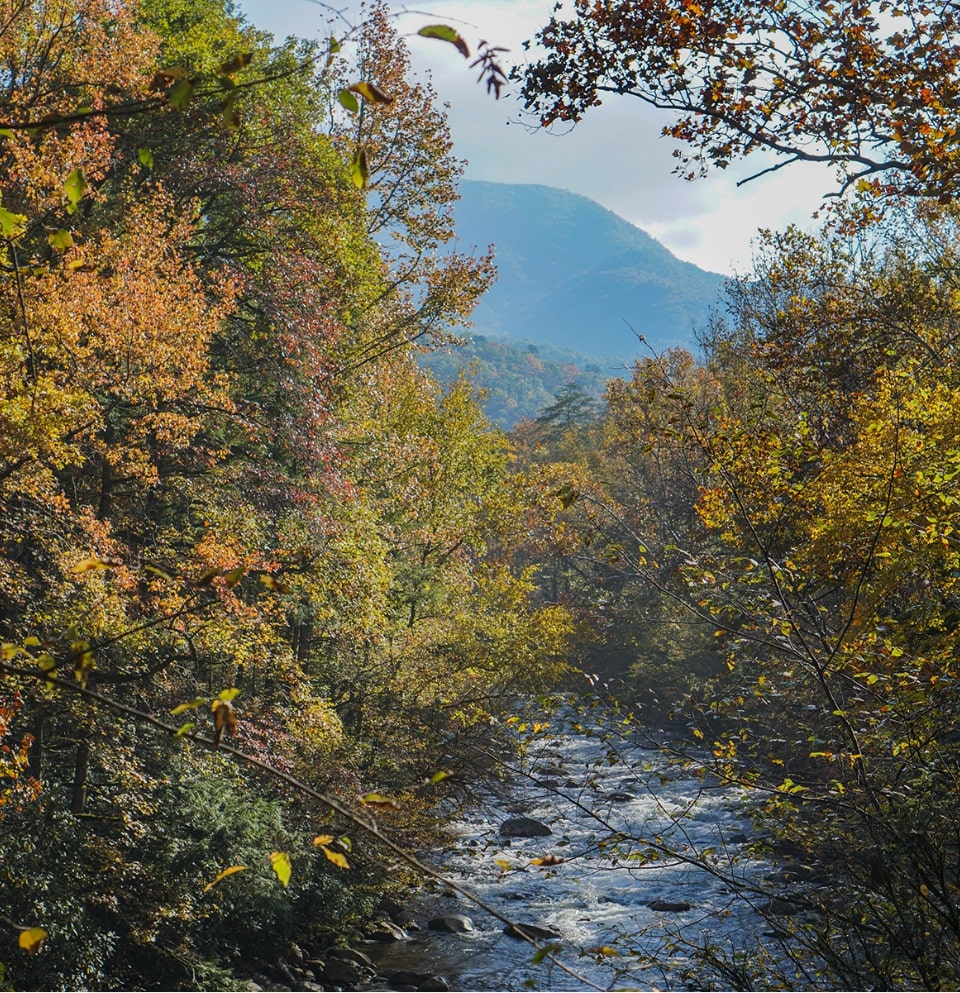 view of Smoky Mountains